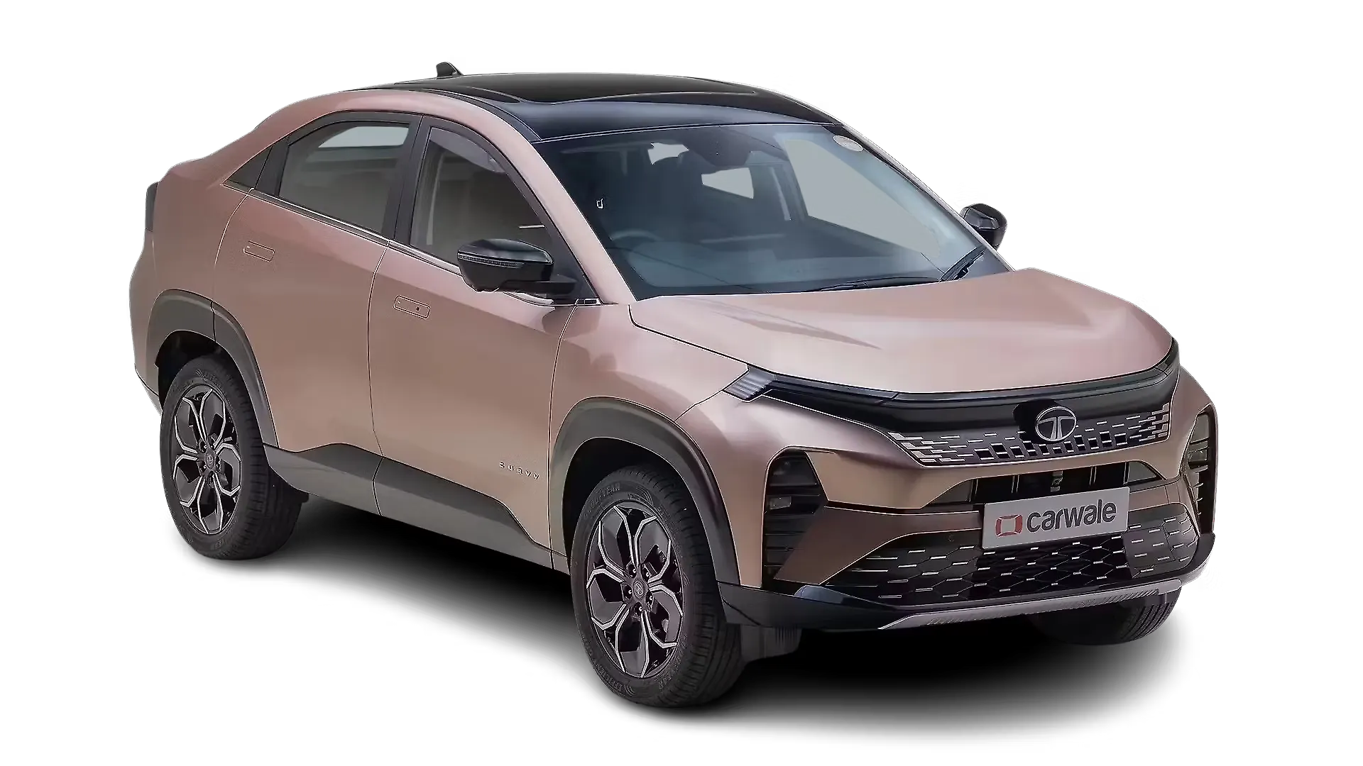 Tata Curvv official press image